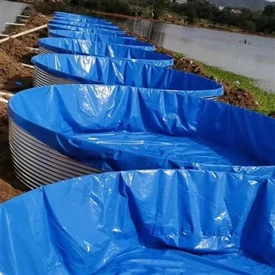 Blupela PVC Pis Pond we wara i no inap go insait long en